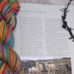Dyed North Ronaldsay hank with Fleece and Fiber Source Book